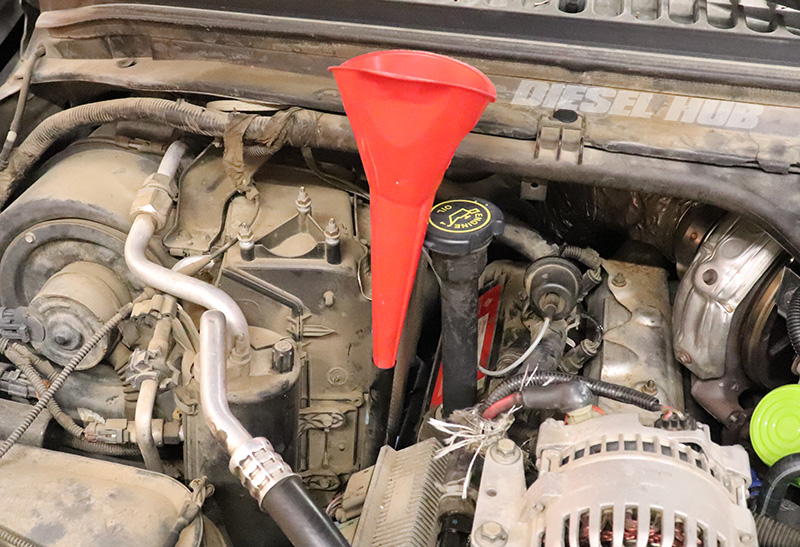 Transmission fill location (dipstick tube)