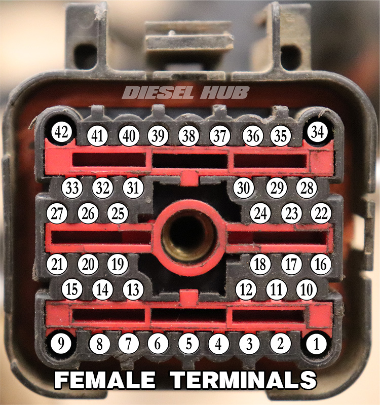 Engine wiring harness connector pinout diagram